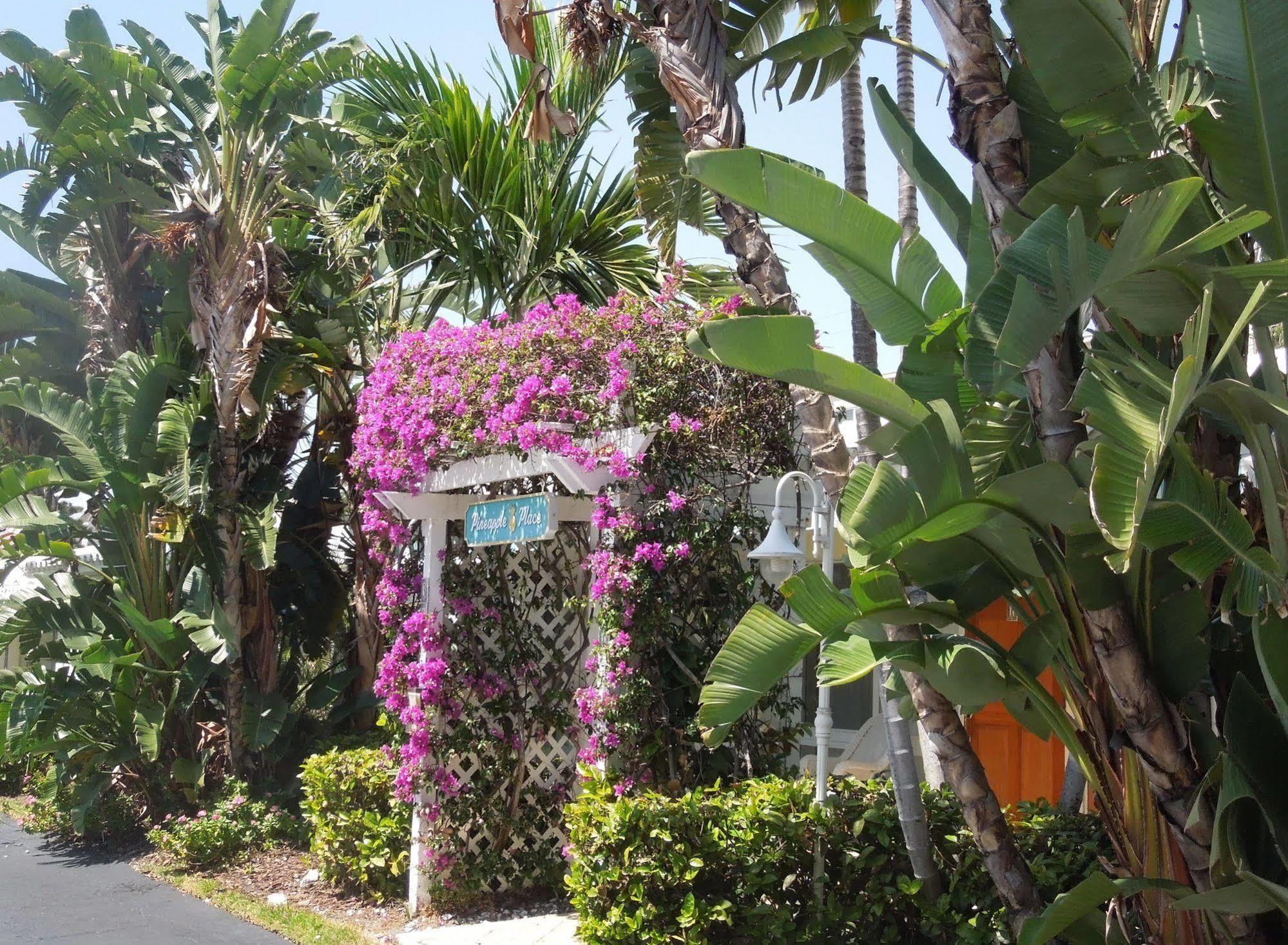Pineapple Place Apartment Pompano Beach Bagian luar foto